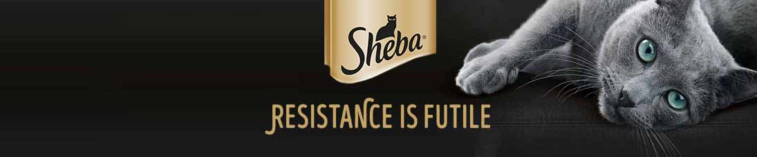 Sheba